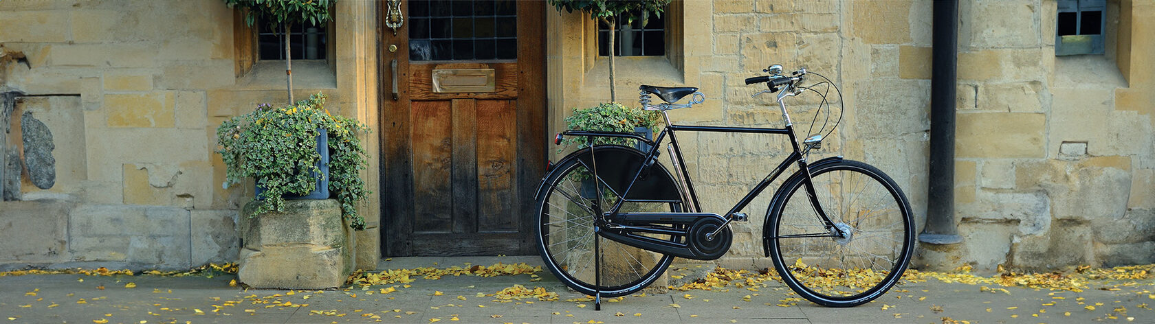 Велосипед Pashley Roadster Sovereign 5 Green 22.5"