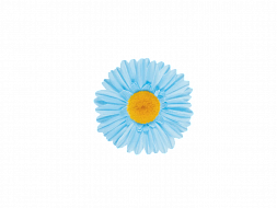 Цветок для велосипеда Electra Handlebar Flower Blue
