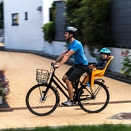 Детское кресло для велосипеда Thule RideAlong Lite Child Bike Seat Zinnia