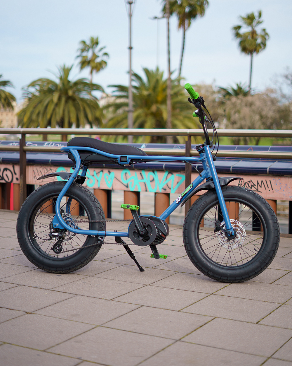 Электровелосипед Ruff Cycles Lil'Buddy SPECIAL EDITION Bosch Active Line 300 Wh Paposo Blue